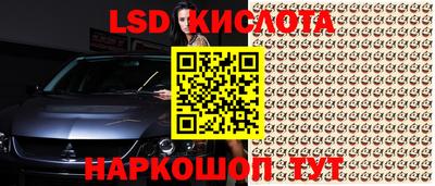 гидропоника Гусиноозёрск