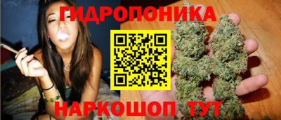 гидропоника Гусиноозёрск